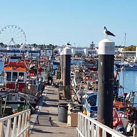 Amazing Marina Park *