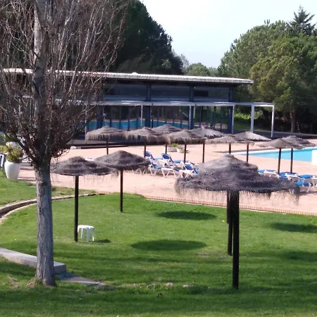 Amazing Marina Park