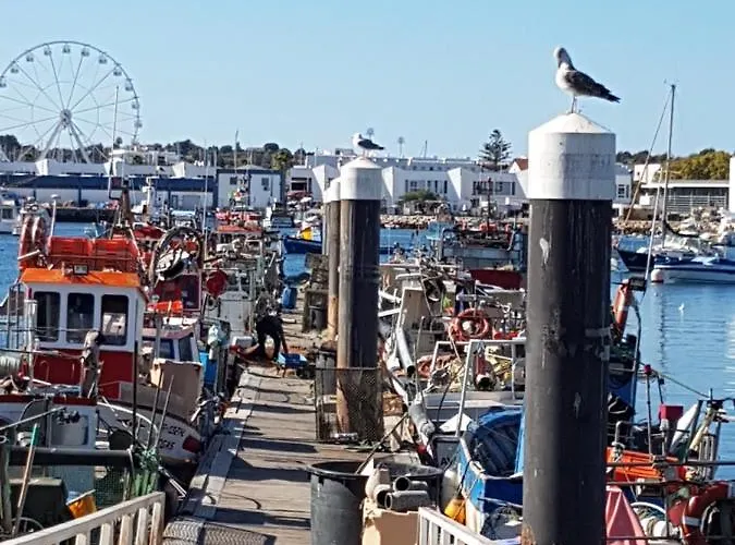 Amazing Marina Park *