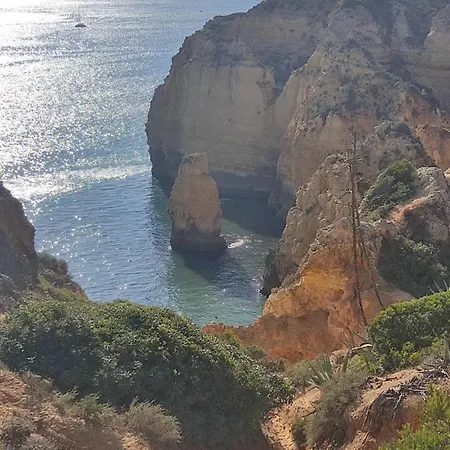 Amazing Marina Park
