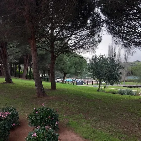 Amazing Marina Park *