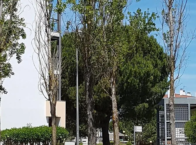 Amazing Marina Park Lagos